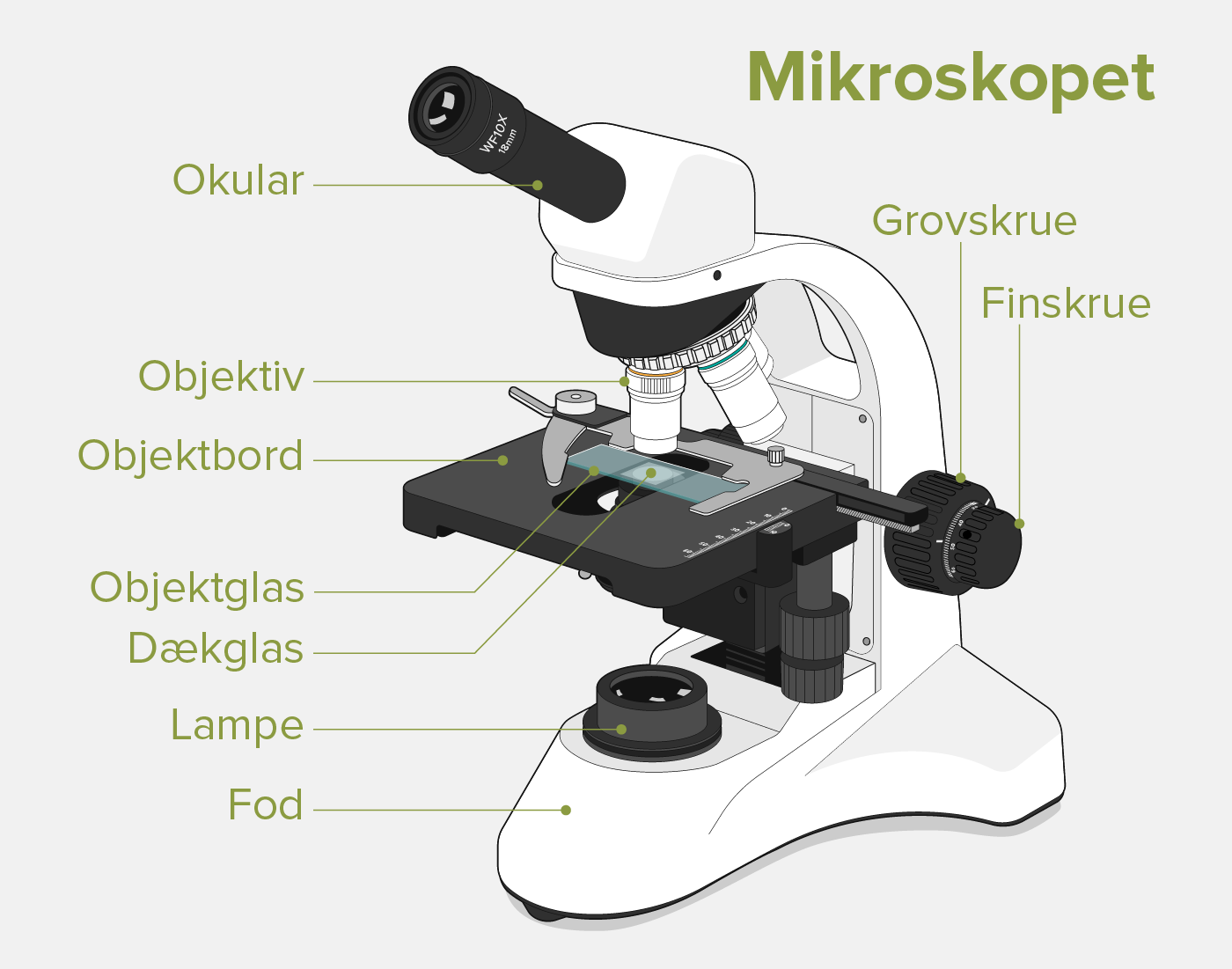 frakobling læsning er nok Mikroskopet