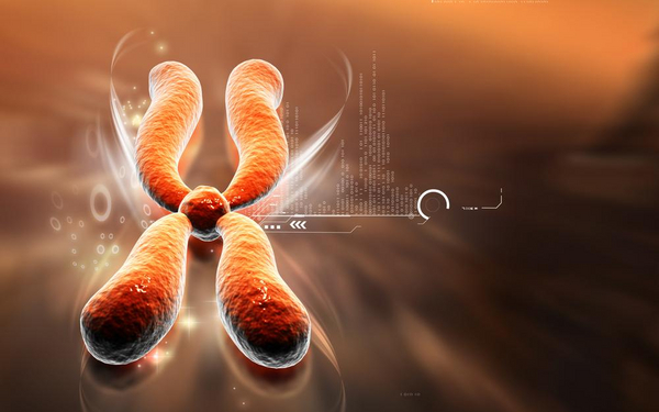 Gener, kromosomer og DNA - undervisningsmateriale til biologi