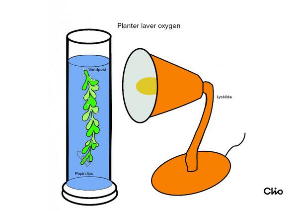 oxygen 2 01