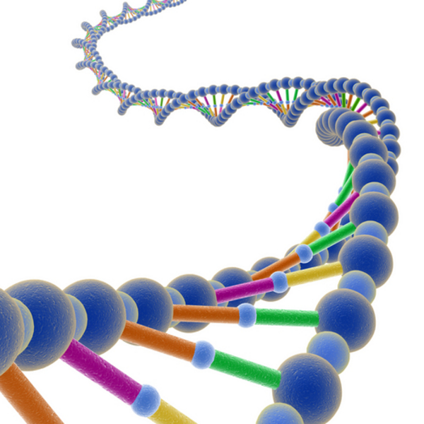 Gener, kromosomer og DNA - undervisningsmateriale til biologi